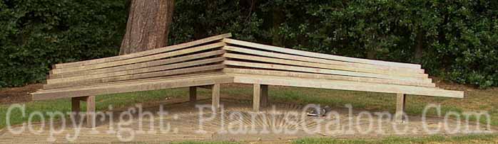 PGC-H-Furniture-Wood-24