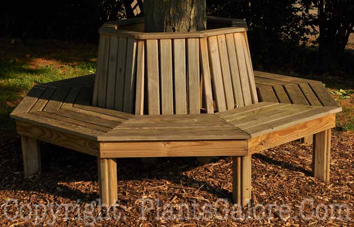 PGC-H-Furniture-Wood-92