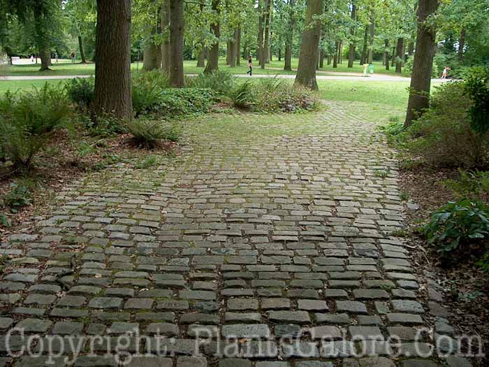 PGC-H-Paths-Brick-11