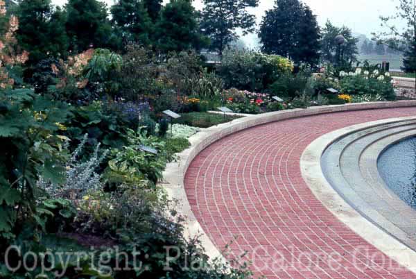 PGC-H-Paths-Brick-16