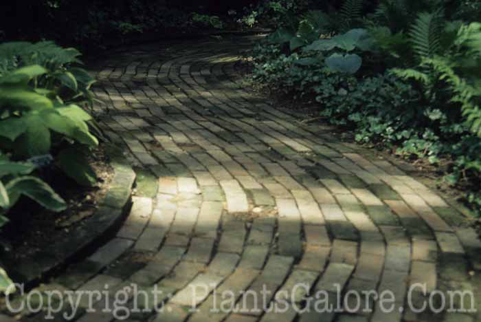 PGC-H-Paths-Brick-21