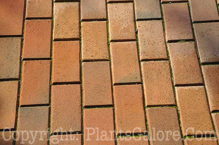 PGC-H-Paths-Brick-23