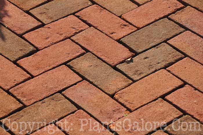 PGC-H-Paths-Brick-24