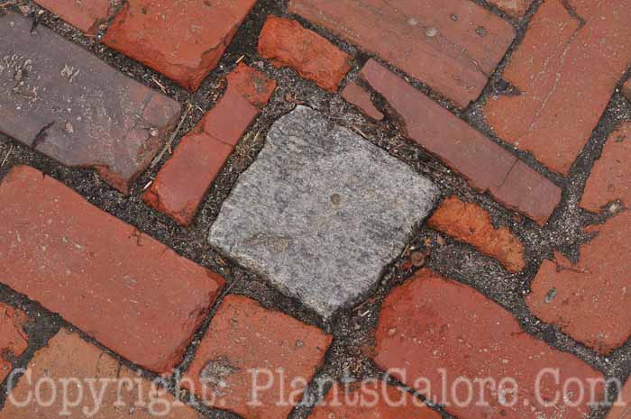 PGC-H-Paths-Brick-31