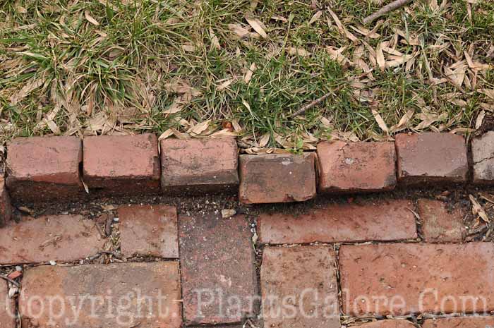 PGC-H-Paths-Brick-33