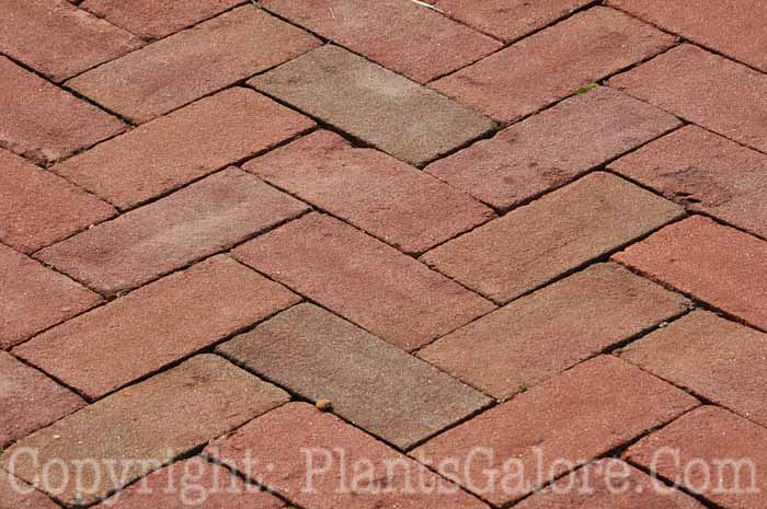 PGC-H-Paths-Brick-35