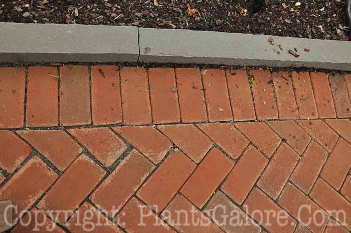 PGC-H-Paths-Brick-39