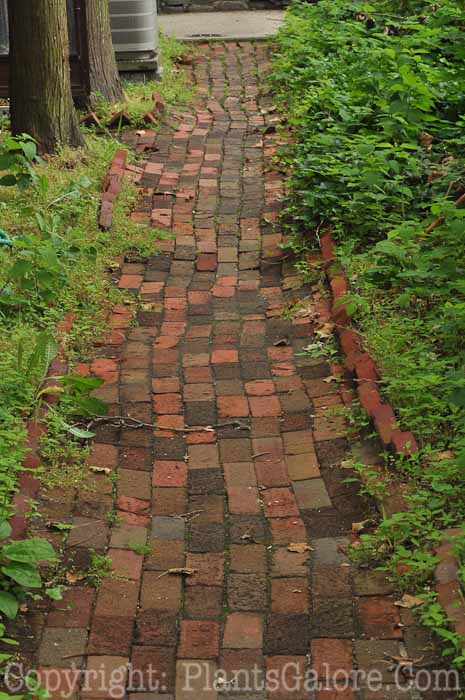 PGC-H-Paths-Brick-42