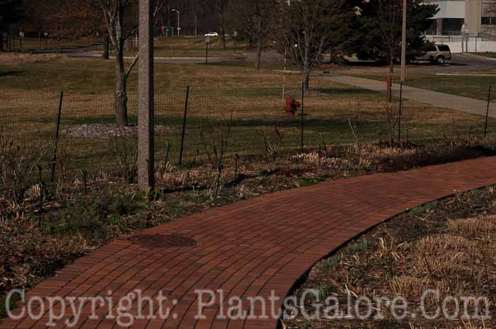 PGC-H-Paths-Brick-44