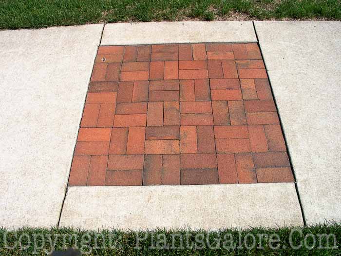 PGC-H-Paths-Brick-6