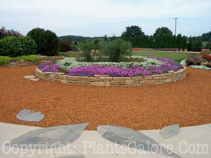 PGC-H-Paths-Mulch-3