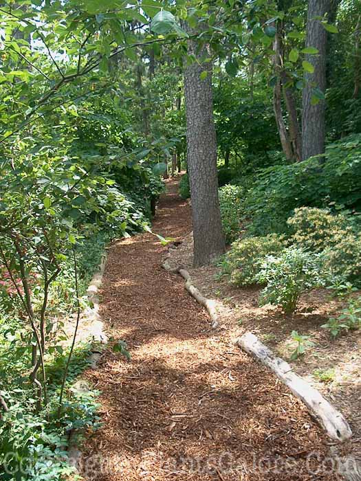 PGC-H-Paths-Mulch-4