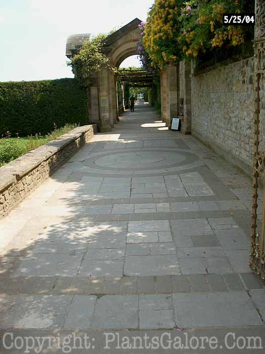 PGC-H-Paths-Pavers-11