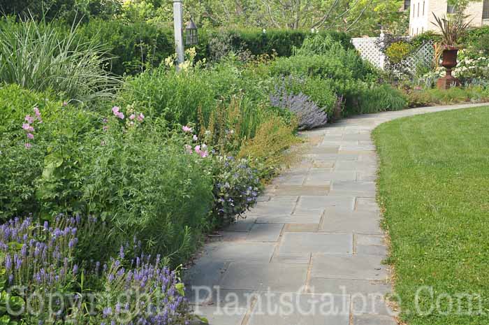 PGC-H-Paths-Pavers-21