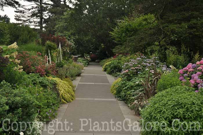 PGC-H-Paths-Pavers-26