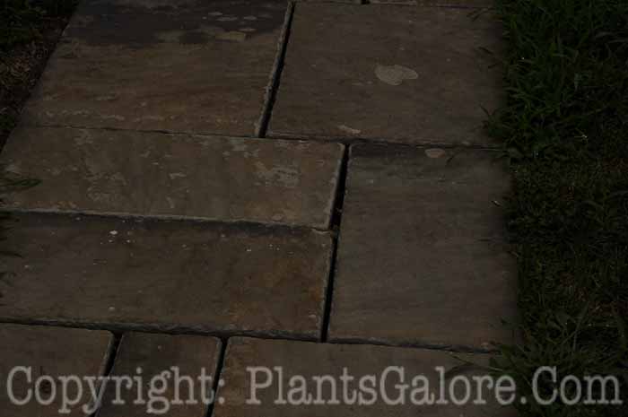 PGC-H-Paths-Pavers-27