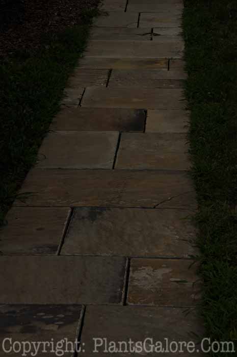 PGC-H-Paths-Pavers-28