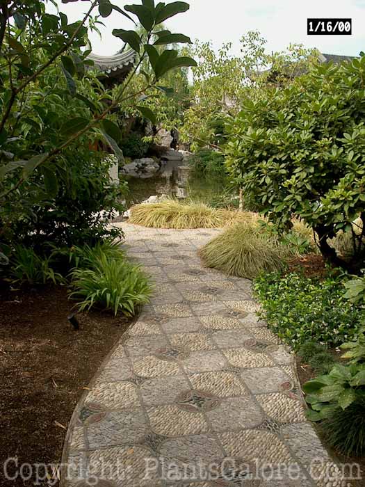 PGC-H-Paths-Pavers-4