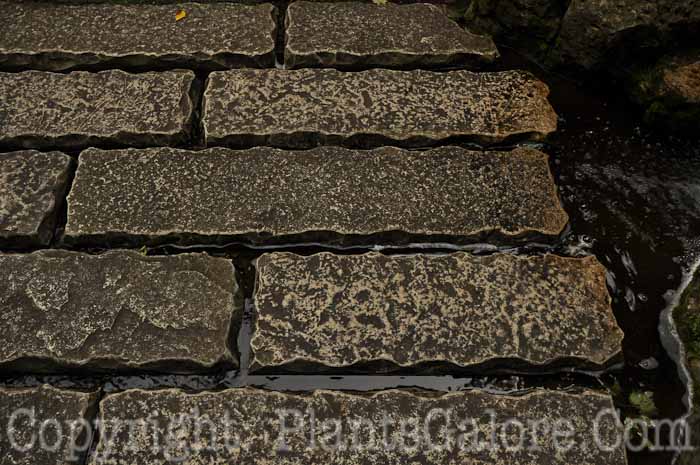 PGC-H-Paths-Stone-23