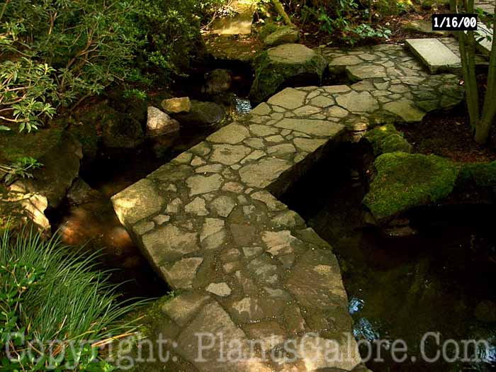 PGC-H-Paths-Stone-5