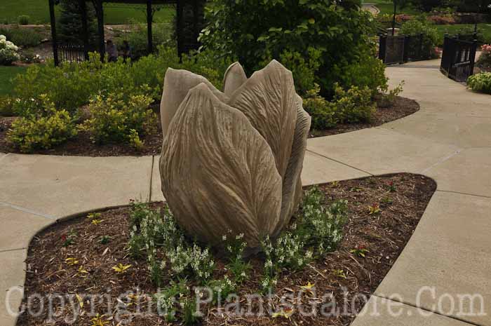 PGC-H-Statuary-Abstract-2