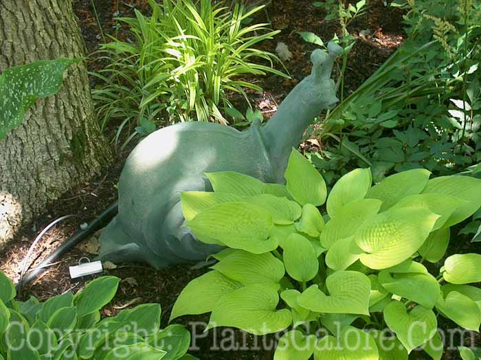 PGC-H-Statuary-Animal-12