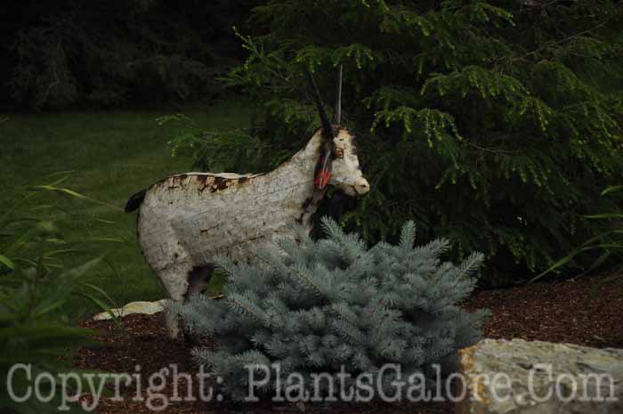 PGC-H-Statuary-Animal-19