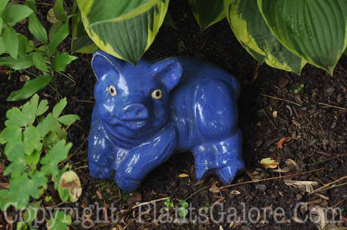 PGC-H-Statuary-Animal-21