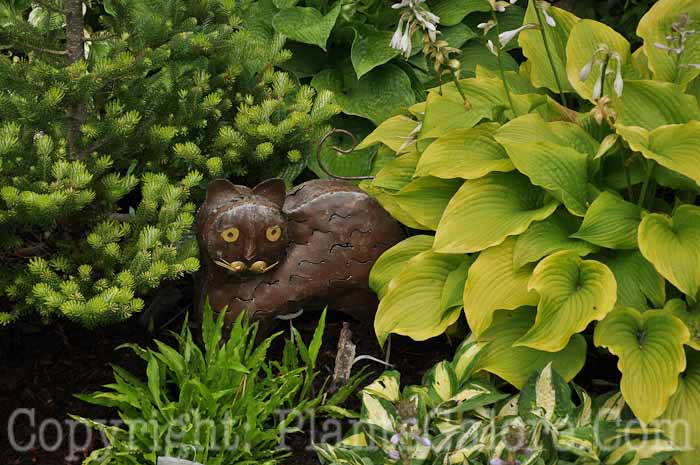 PGC-H-Statuary-Animal-22