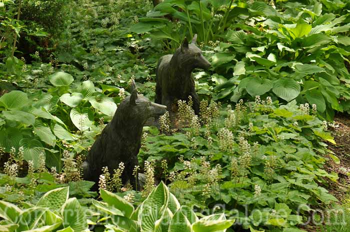 PGC-H-Statuary-Animal-30