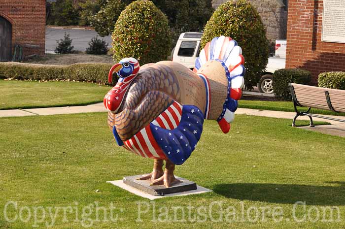 PGC-H-Statuary-Animal-37