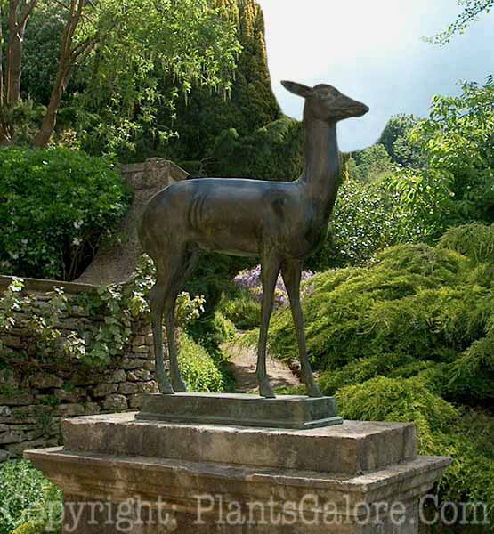 PGC-H-Statuary-Animal-48