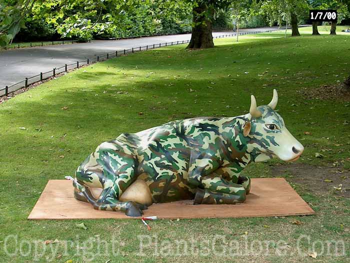 PGC-H-Statuary-Animal-49