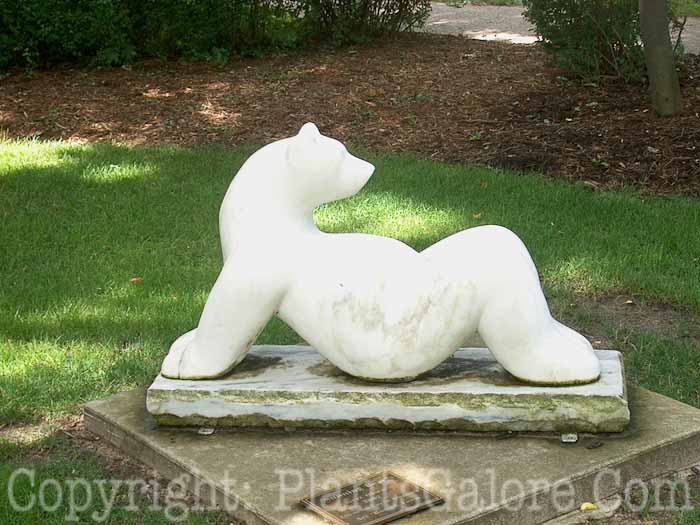 PGC-H-Statuary-Animal-53