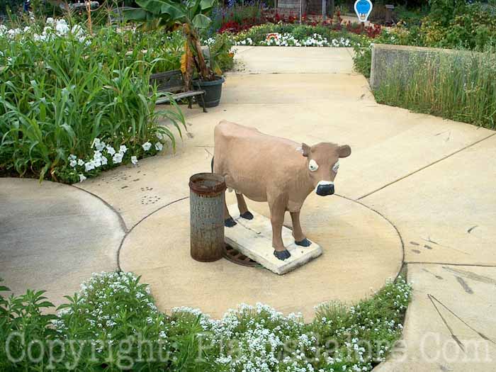 PGC-H-Statuary-Animal-57