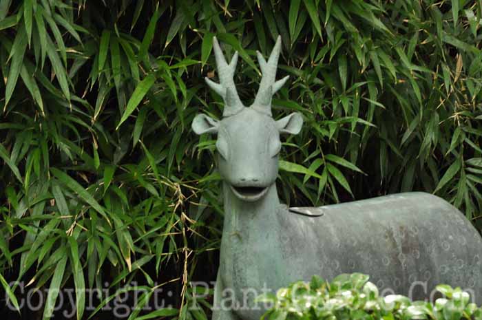 PGC-H-Statuary-Animal-58