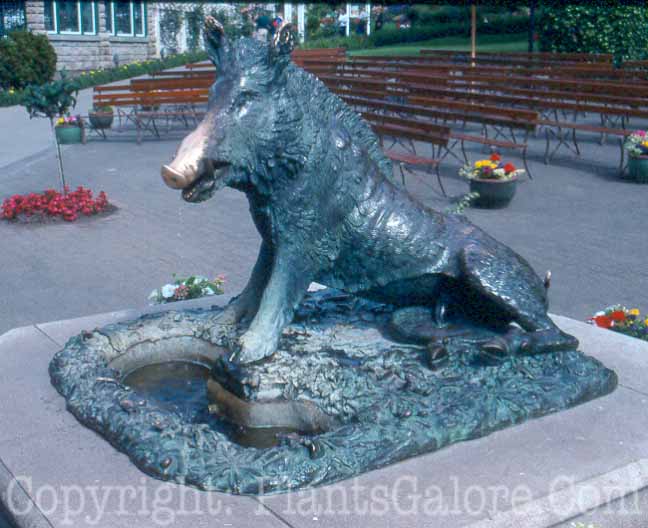 PGC-H-Statuary-Animal-61