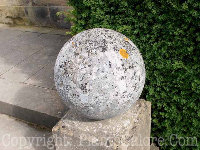 PGC-H-Statuary-Globe-4