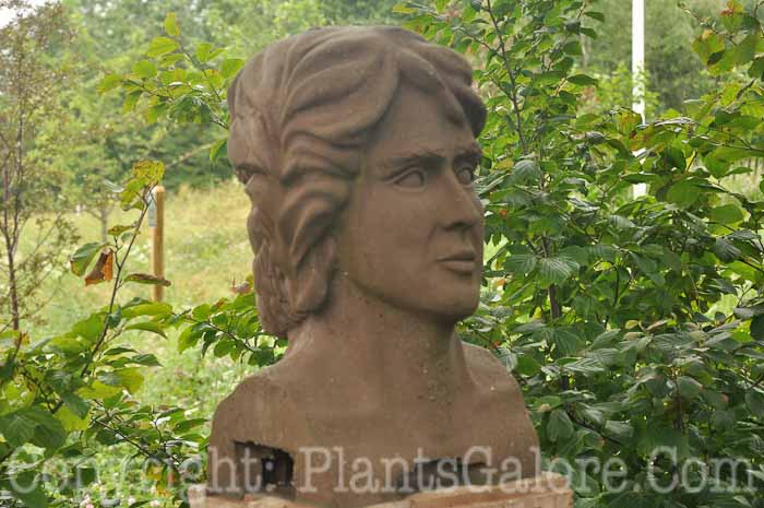 PGC-H-Statuary-Human-33