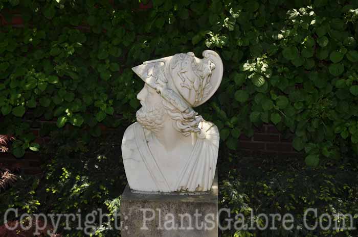 PGC-H-Statuary-Human-39