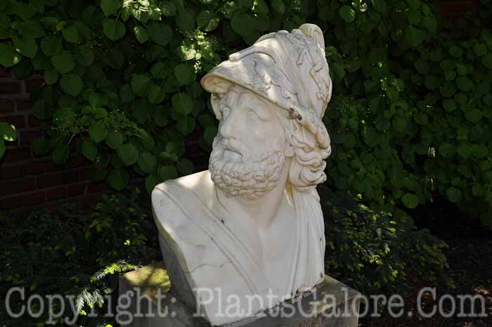 PGC-H-Statuary-Human-40