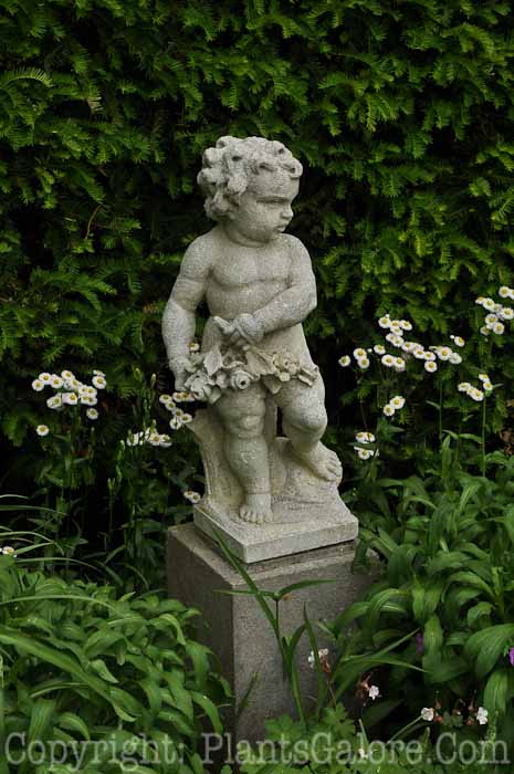 PGC-H-Statuary-Human-61