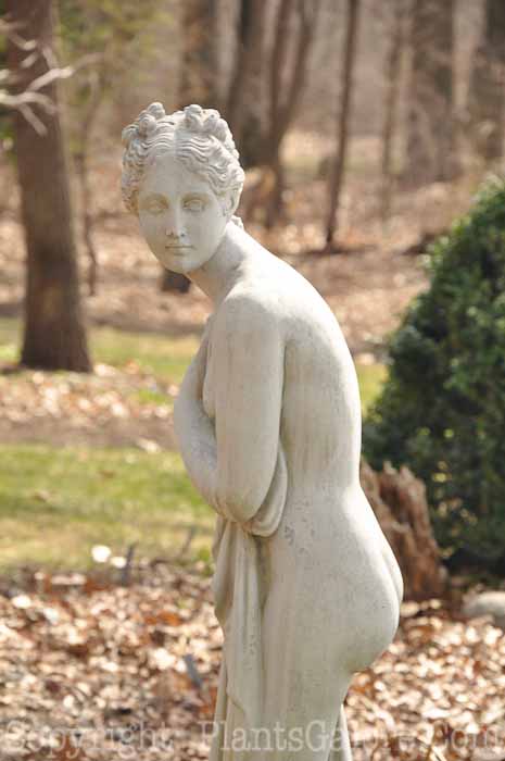 PGC-H-Statuary-Human-66