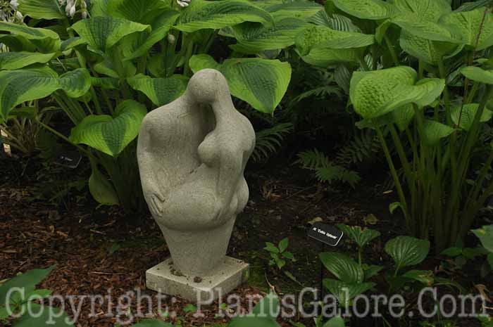 PGC-H-Statuary-Human-73