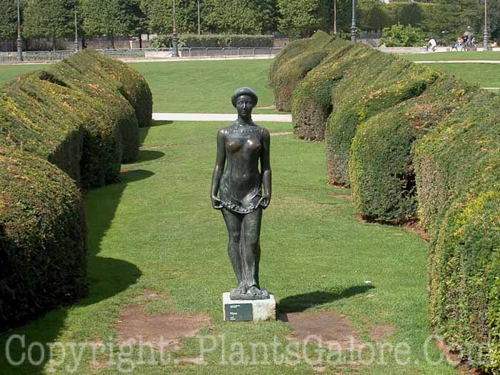 PGC-H-Statuary-Human-93