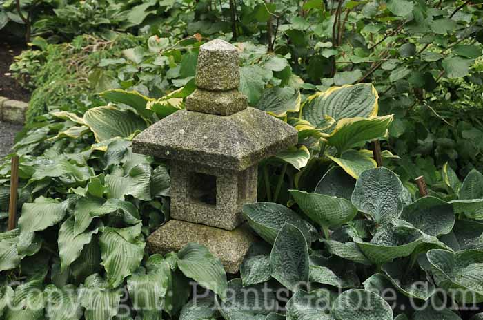 PGC-H-Statuary-Japanese-12