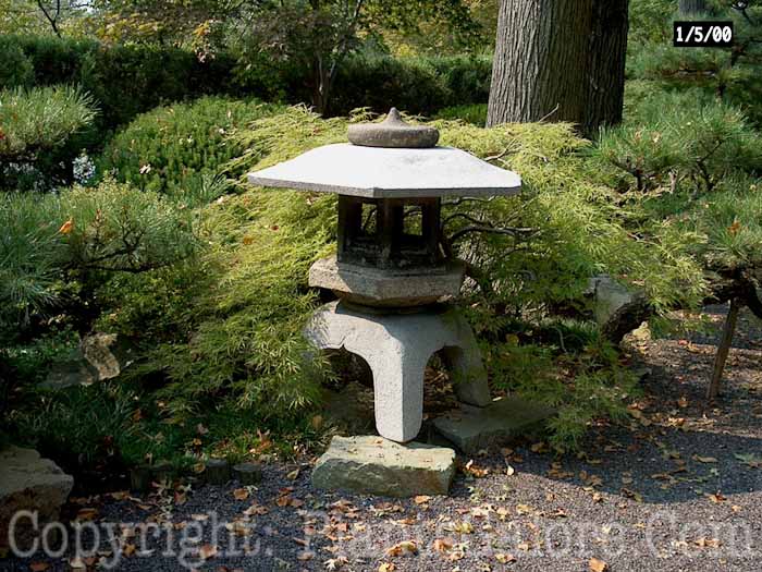 PGC-H-Statuary-Japanese-14