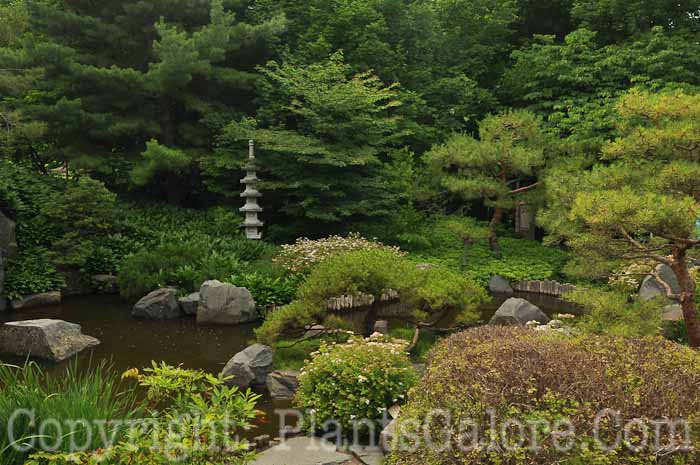 PGC-H-Statuary-Japanese-17