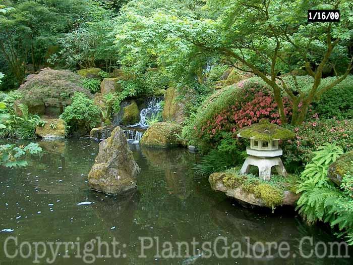 PGC-H-Statuary-Japanese-2