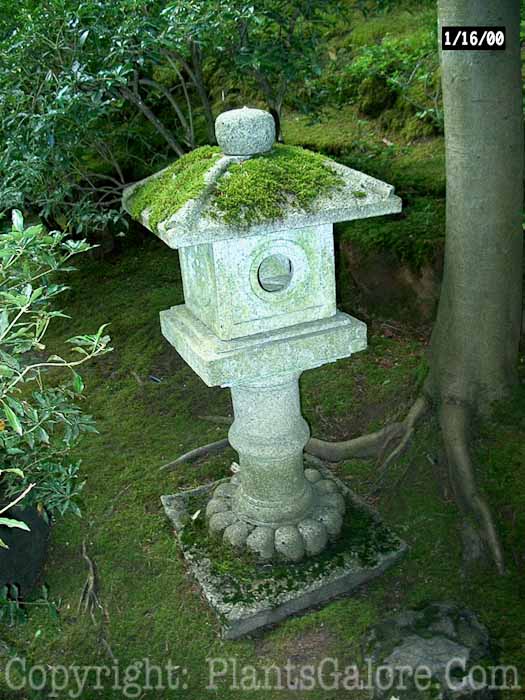 PGC-H-Statuary-Japanese-4